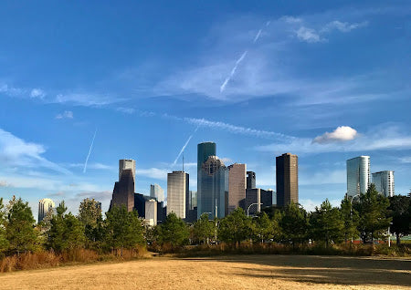 Houston, TX
