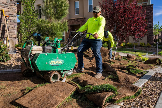 Where Lawns Are Outlawed (and Dug Up, and Carted Away)