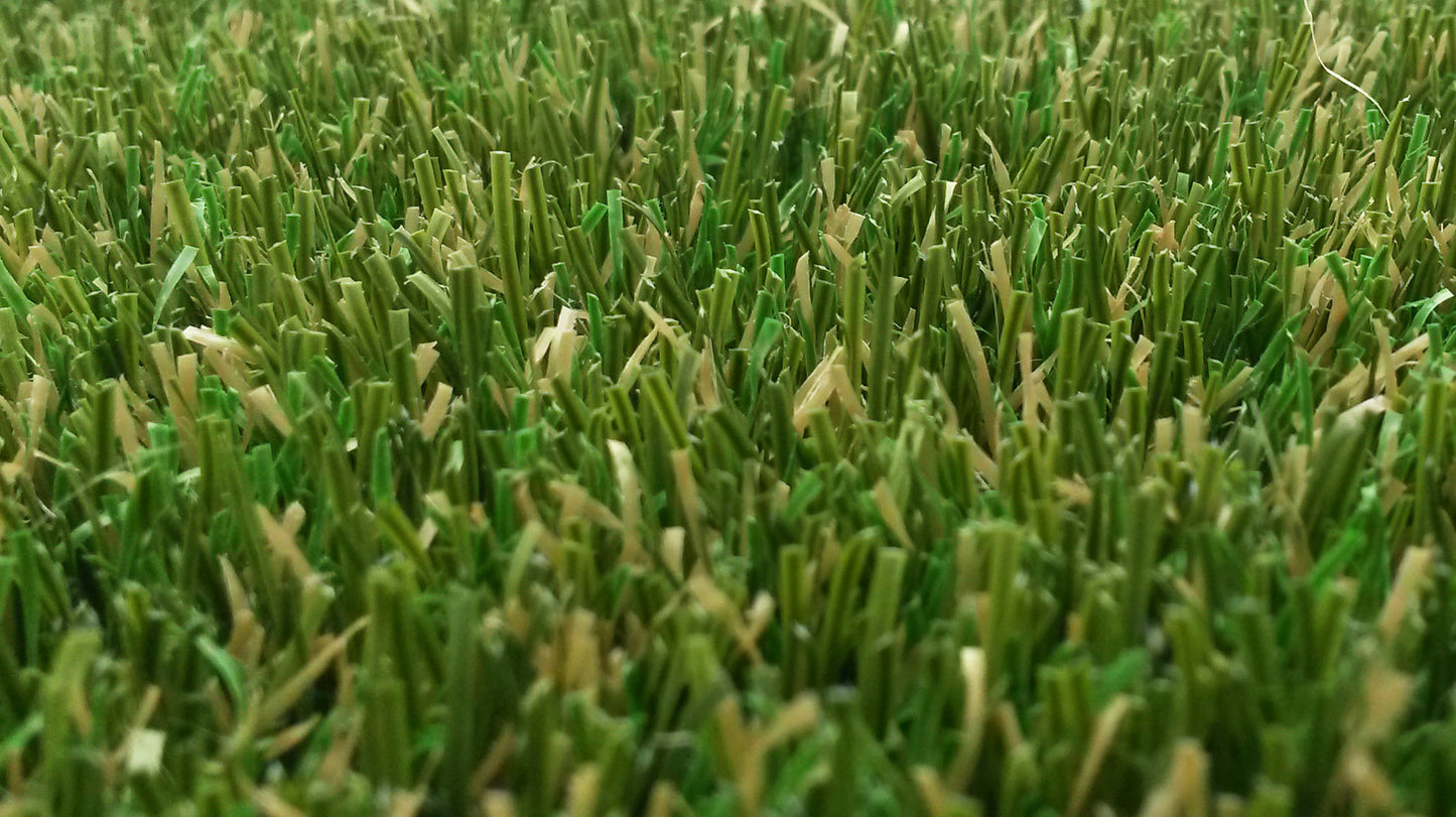Bermuda Natural
