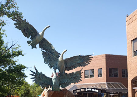 Fort Collins , CO